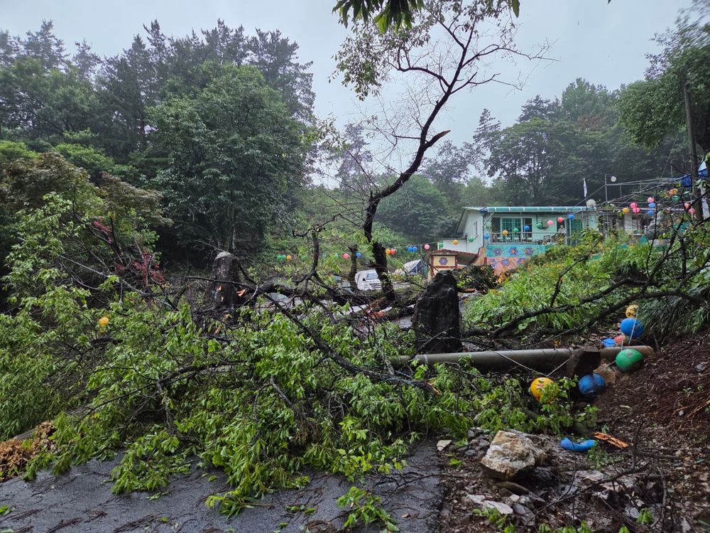 충남건설본부, 집중호우 피해 현황 긴급점검 post image