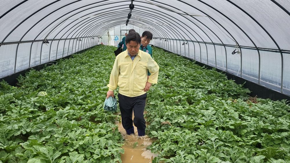 부여, 16일부터 내린 집중호우로 피해 신고 잇달아 post image