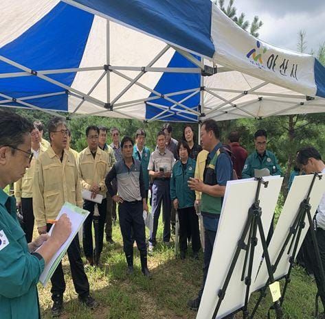 집중호우 피해 임산물 재배지 긴급점검 post image