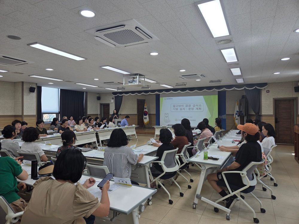 대전시, 길고양이 공공급식소 시범 설치 post image