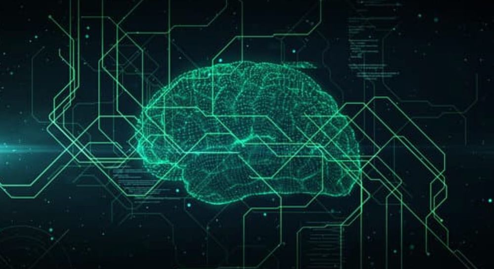 AI도 인간처럼 사회적 신호를 읽는다 post image