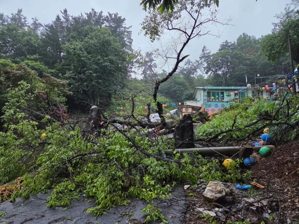 부여,  호우 피해 특별재난지역 추가 선포 post image