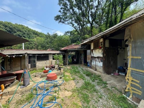 민·관 협력으로 치매 돌봄 사각지대 해소 post image