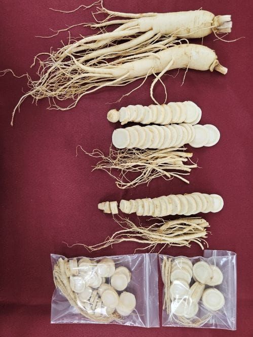 충남도 인삼 수확철 맞아 ‘수삼 냉동 저장법’ 소개 post image