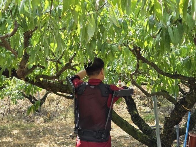 세종시, 농업인 근골격계 부담 줄이는 착용 로봇 실증 post image