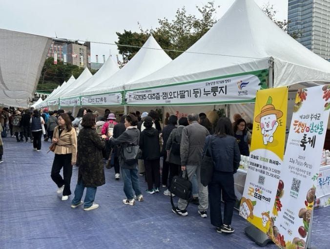 부여 굿뜨래 농산물, 전통문화 속 가치가 빛나다! post image