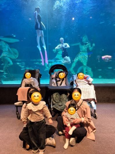 대전동부교육지원청 특수교육지원센터, 바다 속 신비와 함께하다 post image