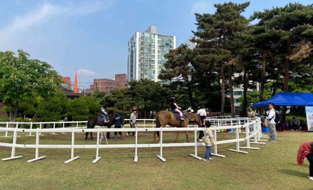 세종 도심 속 승마체험 열린다 post image