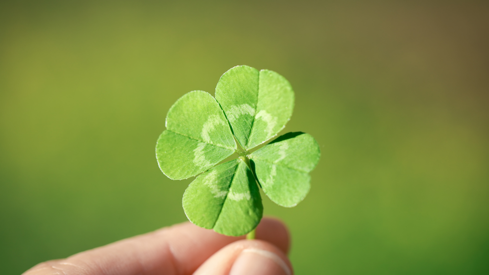 행운을 불러오는 오늘의 한마디(25-10-23) post image