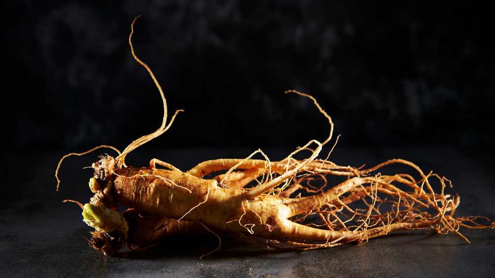 기후변화에도 끄떡없는 인삼 찾는다 post image