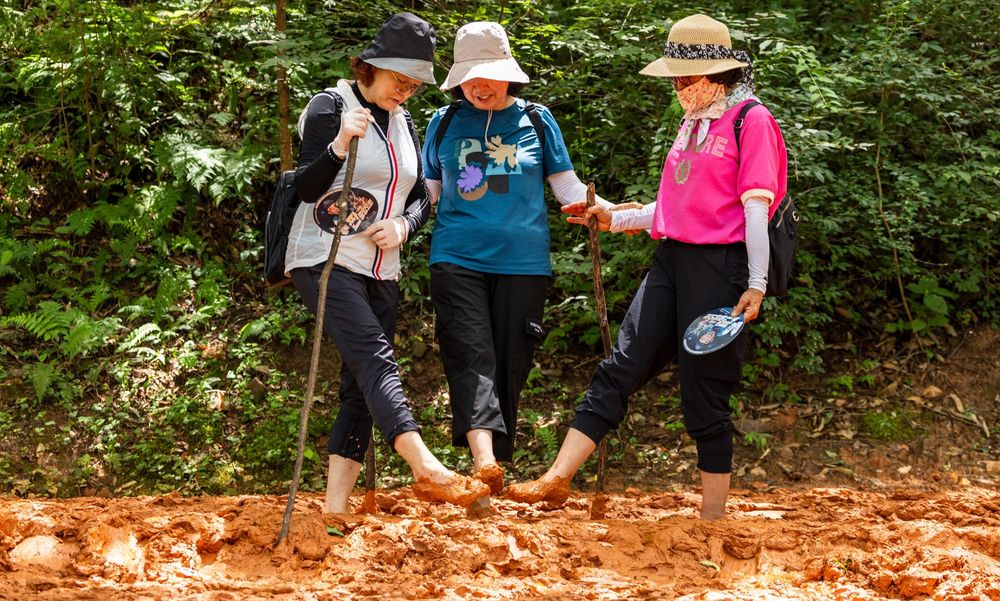 대전시‘맨발걷기 녹색도시’ 조성 본격화... 현재 29개소, 총 40.5km. 2026년까지 생활권형 5개소 추가 예정 post image