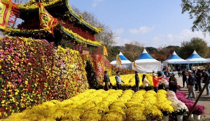 제22회 백제고도부여국화축제, 성황리 마무리 post image