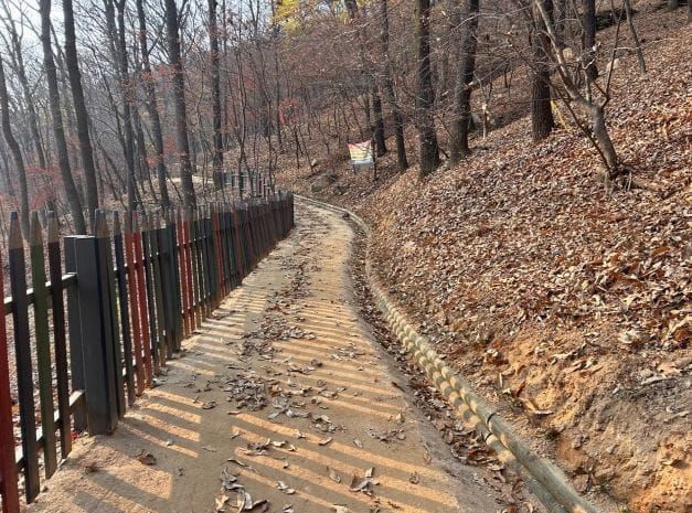 '새소리․바람소리 따라 걷는 건강한 발걸음' post image