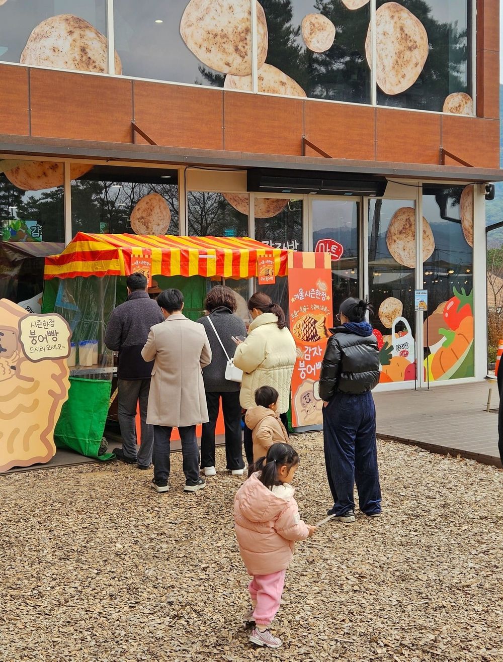 춘천에서 즐기는 감자빵과 겨울 간식… 감자밭, 시즌 한정 ‘감자붕어빵’ 출시 post image