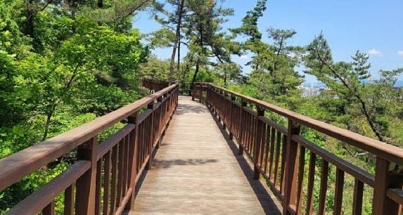 충남도 자체 첫 등산로·자전거길 광역도로명 부여 post image