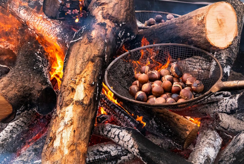 몸에 보약, 제철 먹거리... 차가운 계절, 충남서 뜨겁게 보낸다! post image