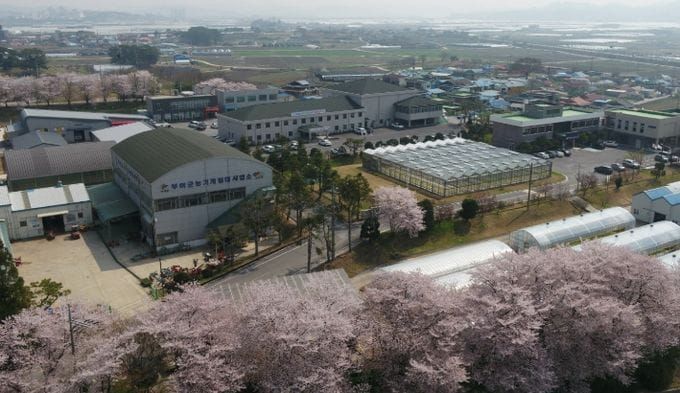 부여, 60억 원 규모 새기술 보급 시범사업 추진한다 post image