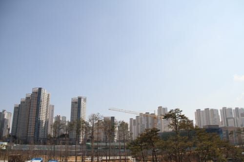 세종시, 해빙기 대비 비산먼지 발생사업장 특별점검 post image