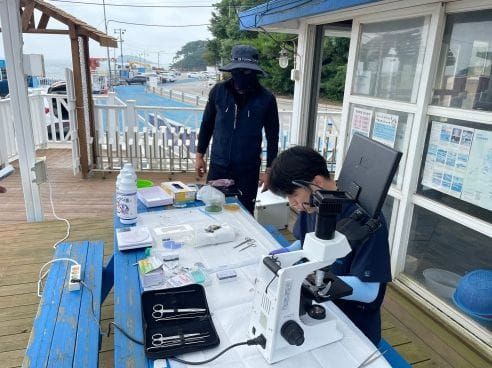 충남도 “기생충은 잡고, 수산질병은 막고!” post image