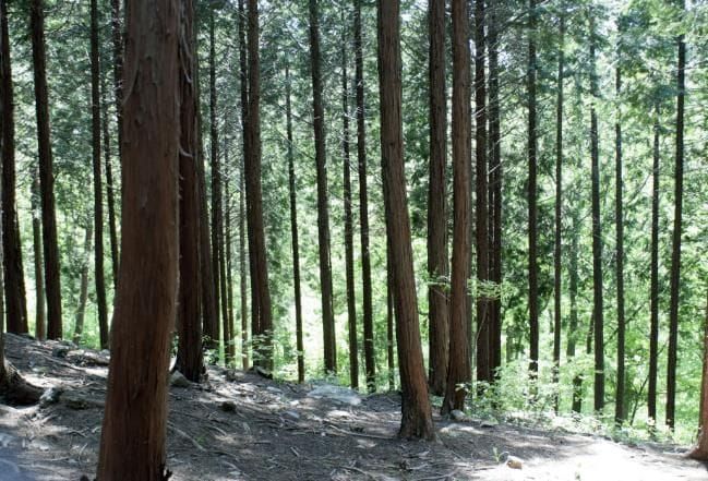 설 연휴는 보령이다! 바다·산·미식 3박자 완벽한 가족여행 post image