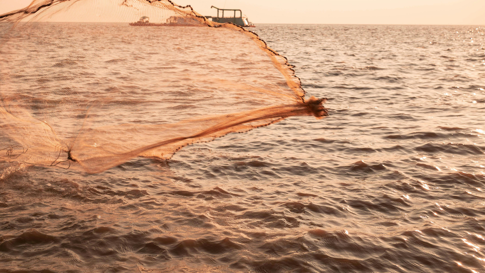 충남도 실뱀장어 불법어업 특별단속 실시 post image