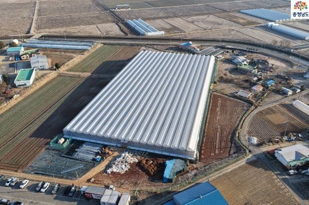 충남도 1만㎡ 규모 딸기 스마트팜 육묘장 조성 post image