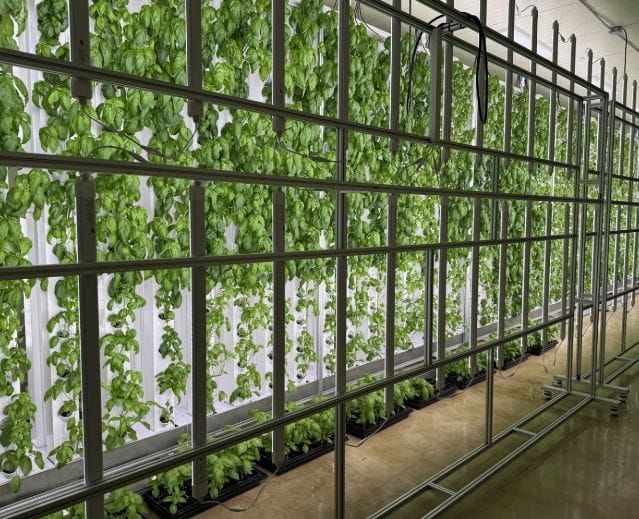 도심형 스마트팜 ‘대전팜’ 확대 추진 post image