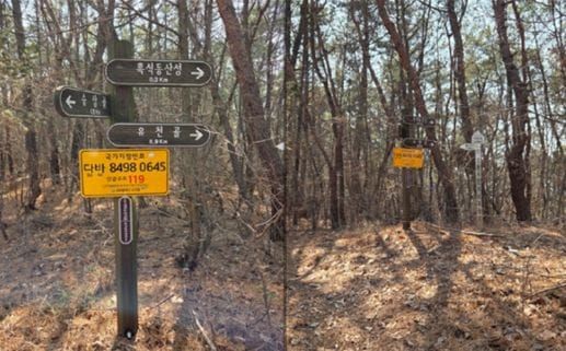대전시 산불․산악사고 신고? 국가지점번호를 기억하세요 post image