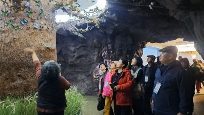 부여군노인종합복지관,‘2026년 1차 문화여행’ 시작 post image