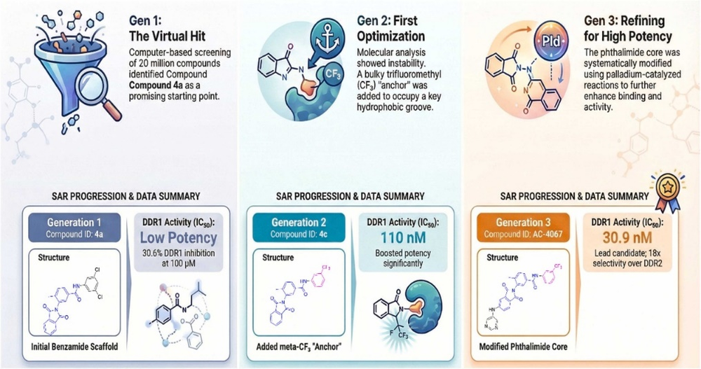 ‘줄기세포 노화 지연, 조직 재생 향상’ 새 가능성 연 건국대 연구진 post image