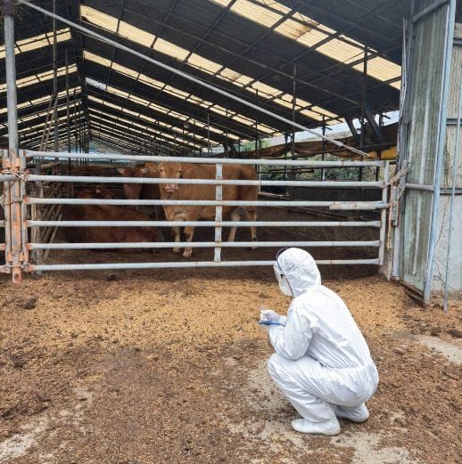 충남도 ‘고위험병원체 선제 감시’로 감염병 차단 강화 post image