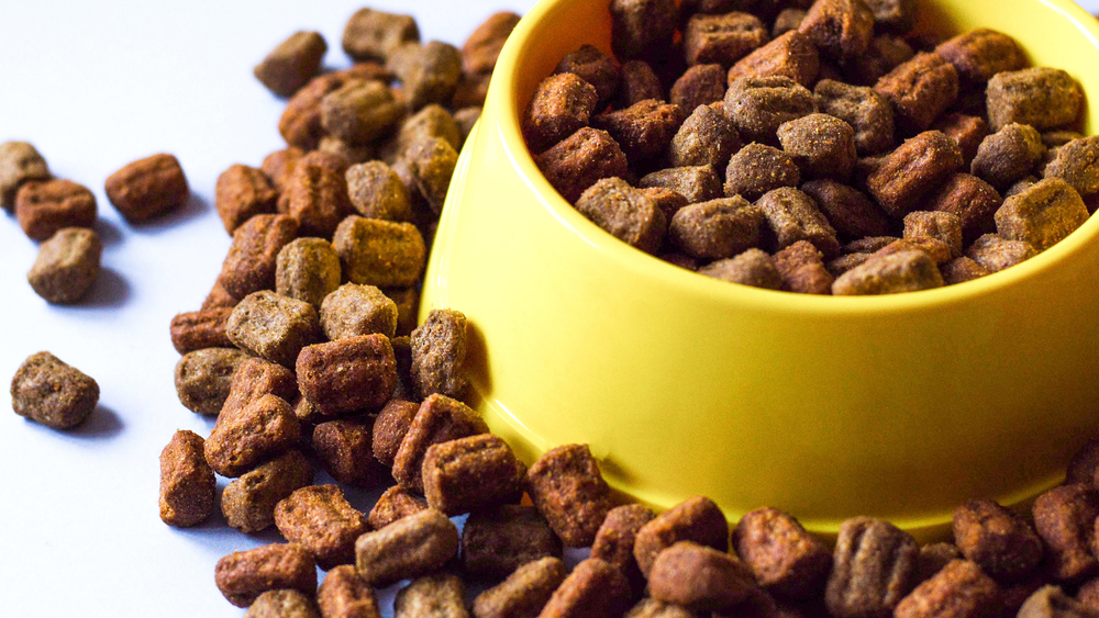 충남도 ‘펫푸드 사업화 지원센터’ 선정…국비 98억 확보 post image