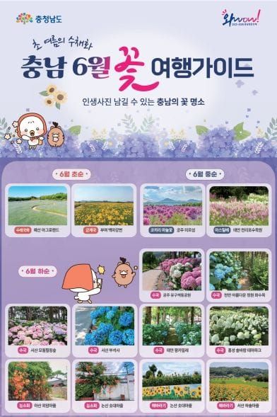충남도, 초여름 길목서 만나는 신록의 싱그러움 post image