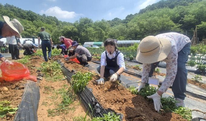 세종시농업기술센터, 치매돌봄가족 대상 치유농업프로그램 운영 post image