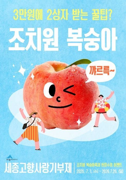 세종에 고향사랑기부하고 복숭아 2상자 받으세요 post image