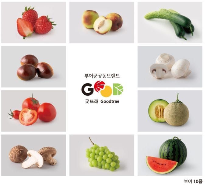 부여, ‘프리미엄 굿뜨래’를 이끌 사용승인 조직 모집 post image