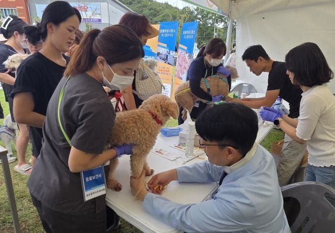 대전시보건환경연구원, 찾아가는 반려동물 이동검진센터 10월 25일 보라매공원으로 오세요 post image