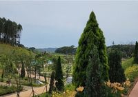 충남도, 꽃과 치유의 섬에서 피어난 명품 정원 post image