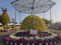 한 뿌리에서 피어난 3,000송이의 기적… 부여국화축제, 기네스 기록 웃도는 ‘천륜작’ 선보인다 post image