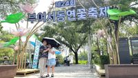 [포토] 부여서동연꽃축제 개막 …  24 번째 여름을 준비하는 연꽃의 향연 '궁남지' post image