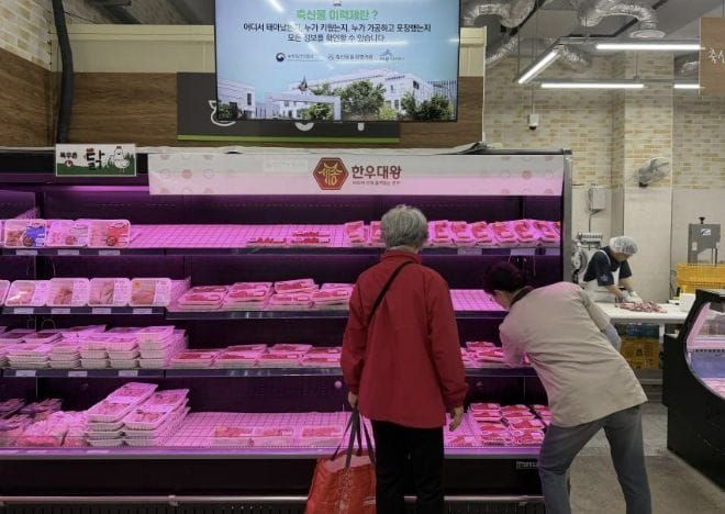 '세종한우대왕' 소고기 소비 견인 효과 톡톡 post image