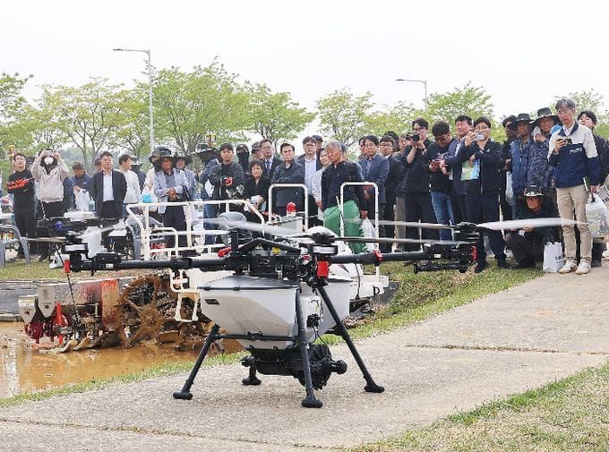 충남도 노동·비용·탄소 잡는 ‘벼 직파’ post image