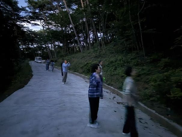 충남도 산림자원연구소, 안면도수목원 반딧불이 생태 탐방 ‘성황’ post image