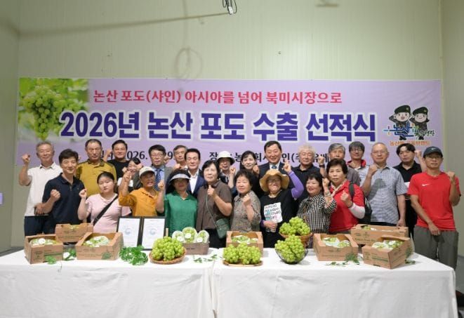 논산 포도(샤인머스캣), 아시아를 넘어 북미시장까지 확대 post image