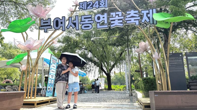 [포토] 부여서동연꽃축제 개막 …  24 번째 여름을 준비하는 연꽃의 향연 '궁남지' post image