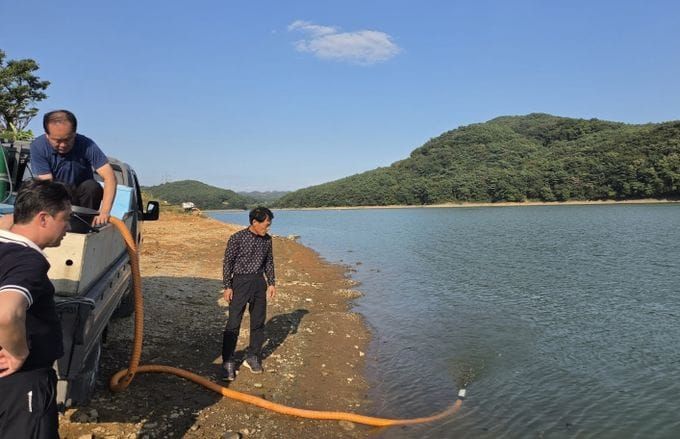 충남도 내수면 수산자원 회복 ‘토종붕어 30만 마리 방류’ post image