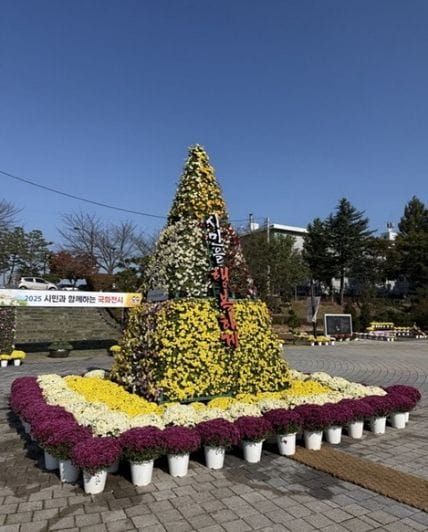 가을 정취 가득한 ‘국화전시’ 개최… 강경젓갈축제와 연계 post image