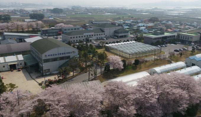 부여군, AI 영상분석으로 토양선충 진단 정확도를 높인다 post image