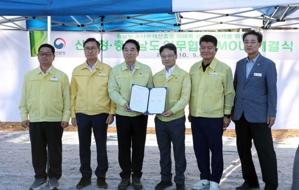 충청남도, 재선충병 피해목 긴급 방제 추진 post image