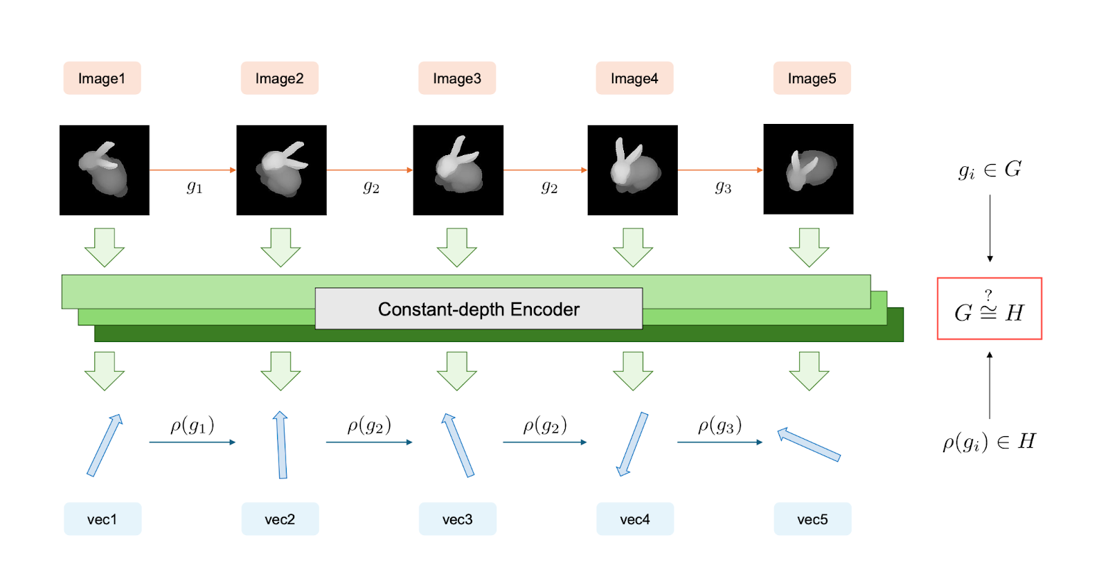 The Bunny That Broke the Transformer